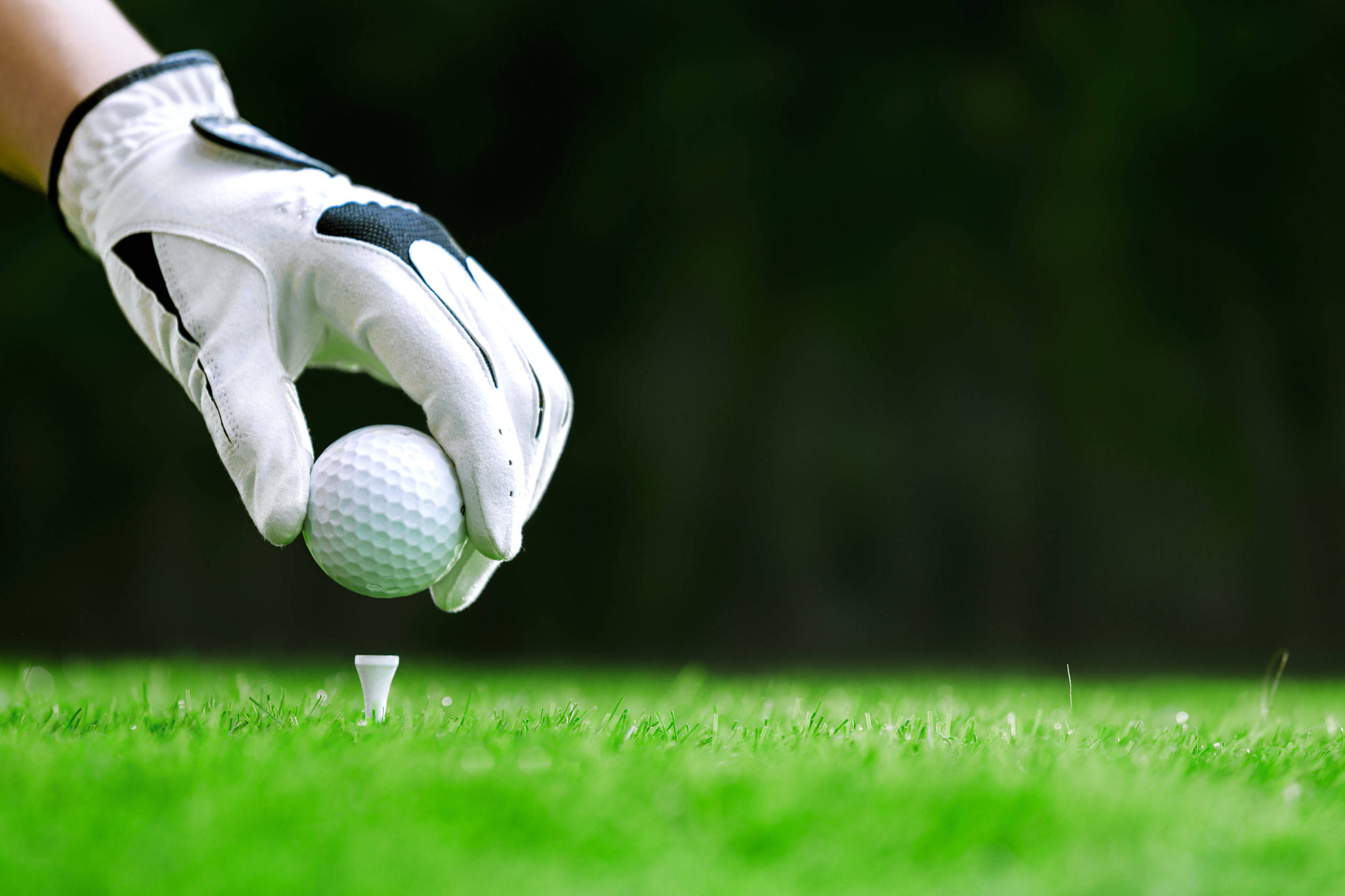 A golfers hand placing a white golf ball on a white tee