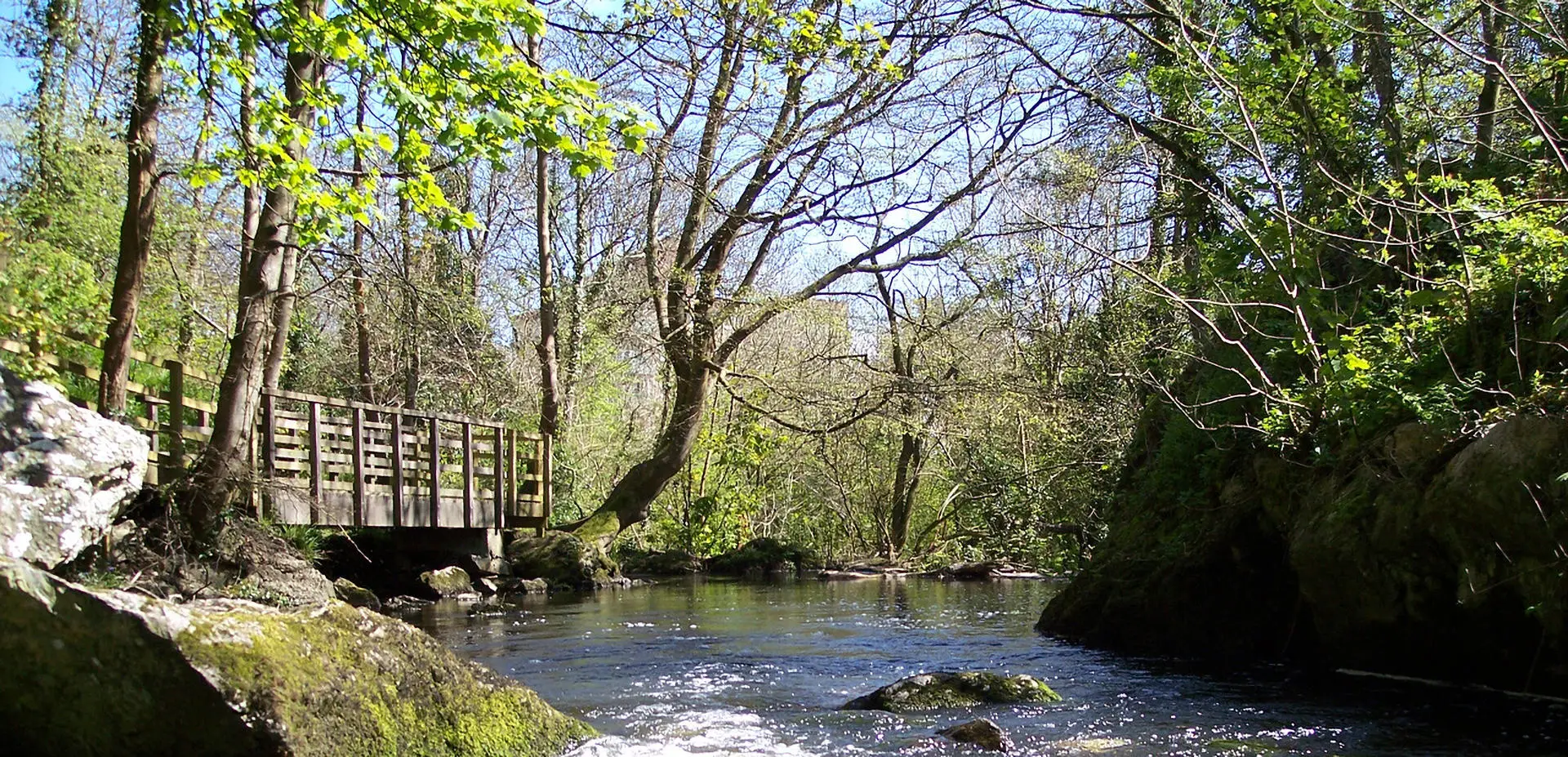 Pont bren dros yr afon yn y Dingle gyda'r afon yn llifo a choed o'i chwmpas 