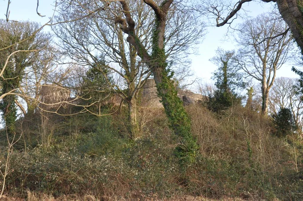 Looking up at Aberlleiniog castle through the trees a mott and bailey castle hidden in the forest