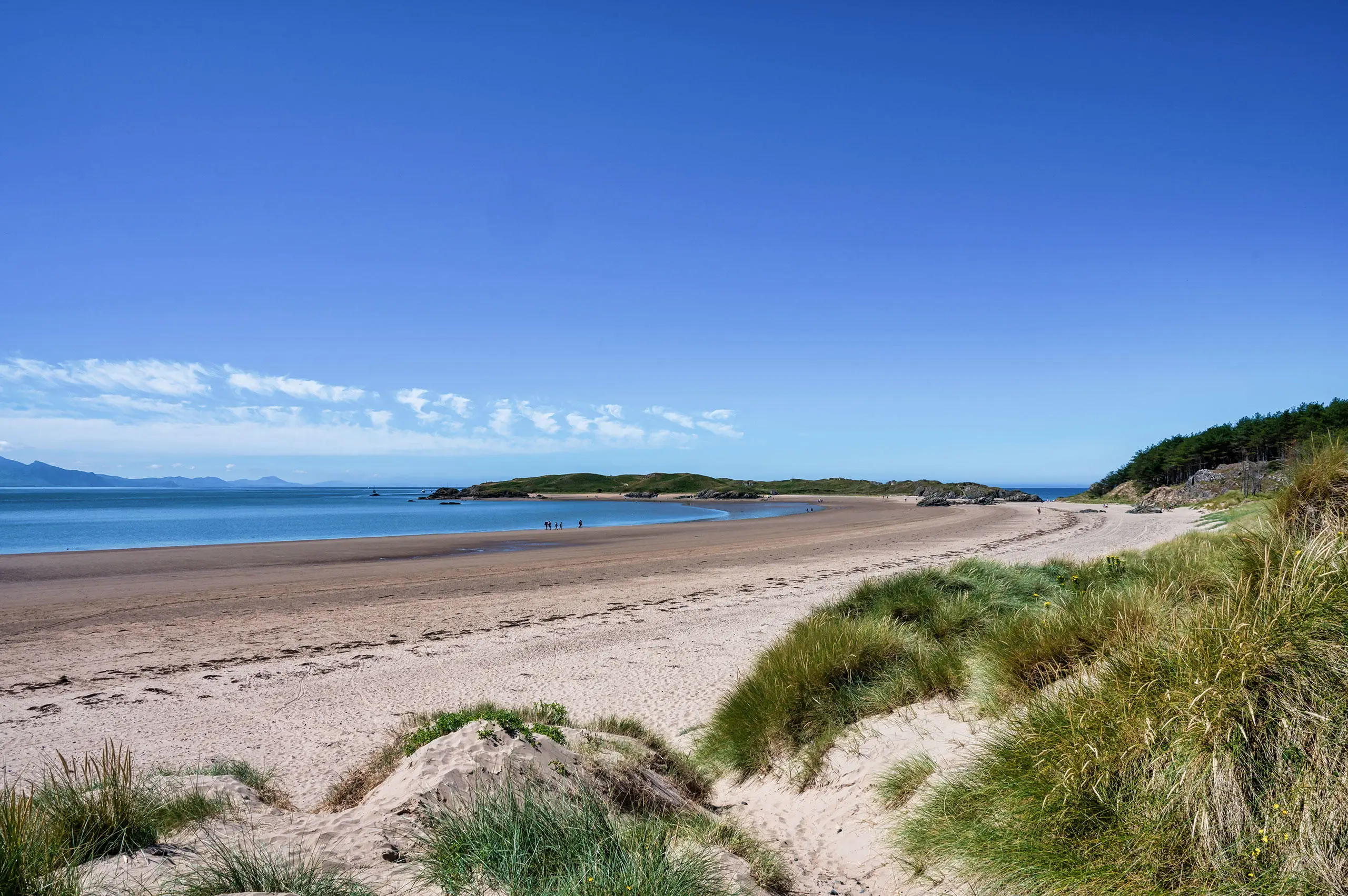 Llanddwyn Bay, showing blue sky, sandy beach and marram grass sand dunes with Llanddwyn island in the distance .