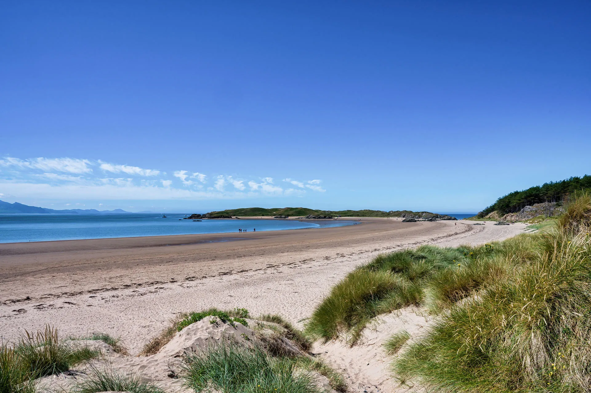 Llanddwyn Bay, showing blue sky, sandy beach and marram grass sand dunes with Llanddwyn island in the distance.