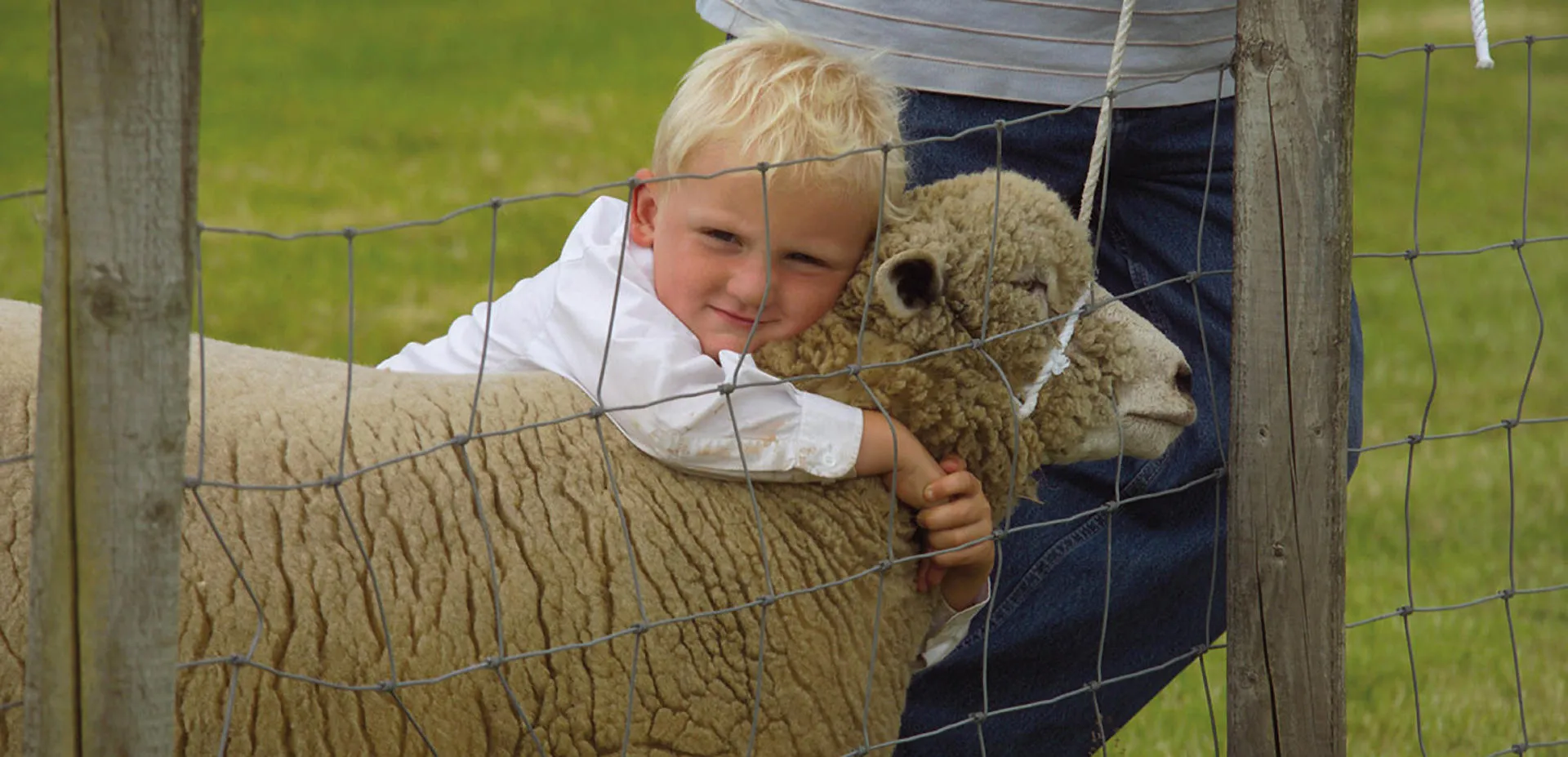 A child hugging a sheep