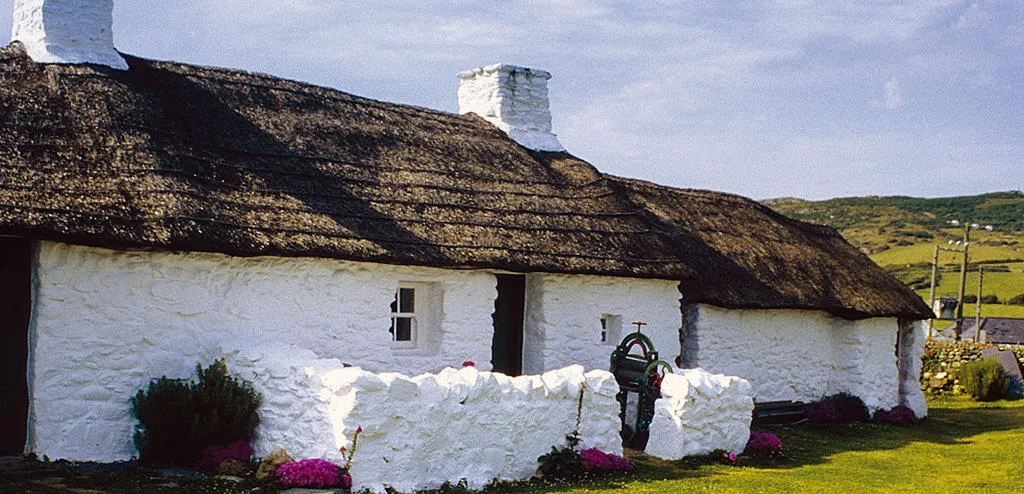 Swtan thatched cottage painted white on a sunny day