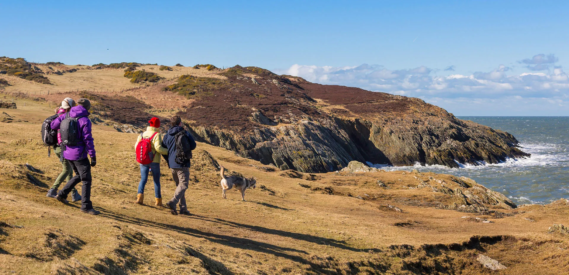 People walking the Coastal Path on the north Anglesey coast with their dog