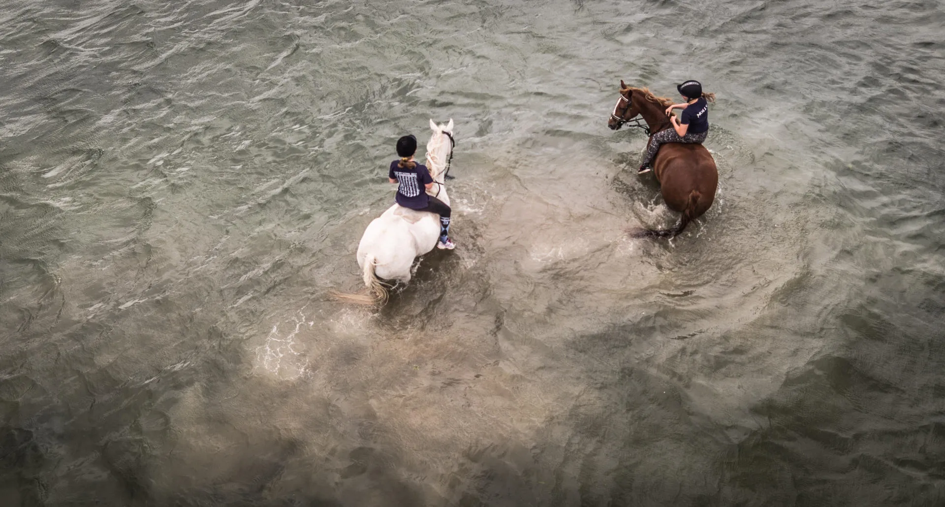 Two horses in the water splashing with riders.  a white horse on the left and brown horse on the right 