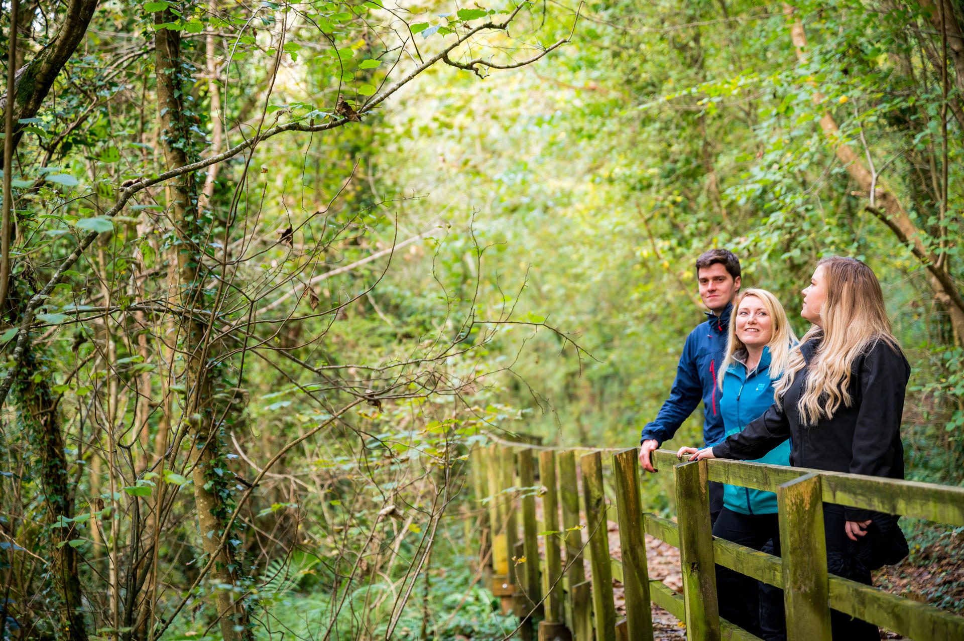 dingle board walk 3 friends looking into the trees