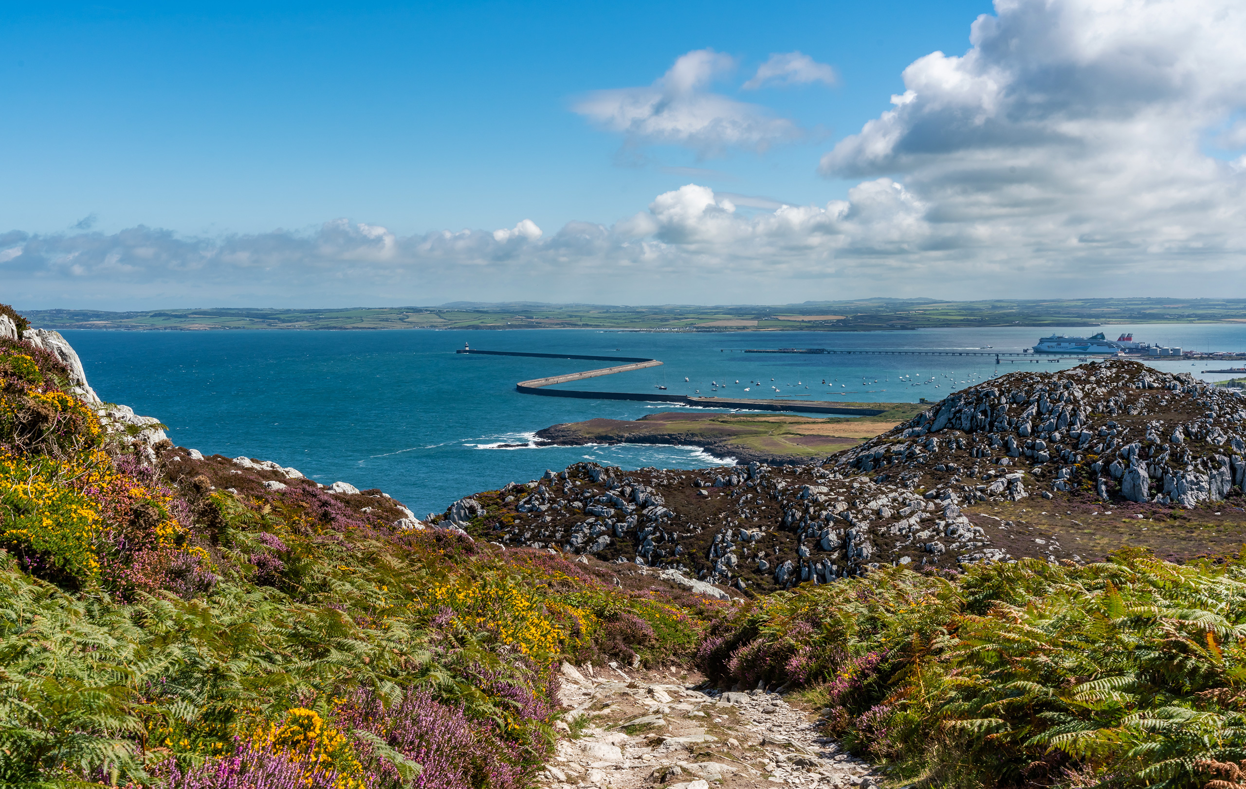 The coast and breakwater above the park