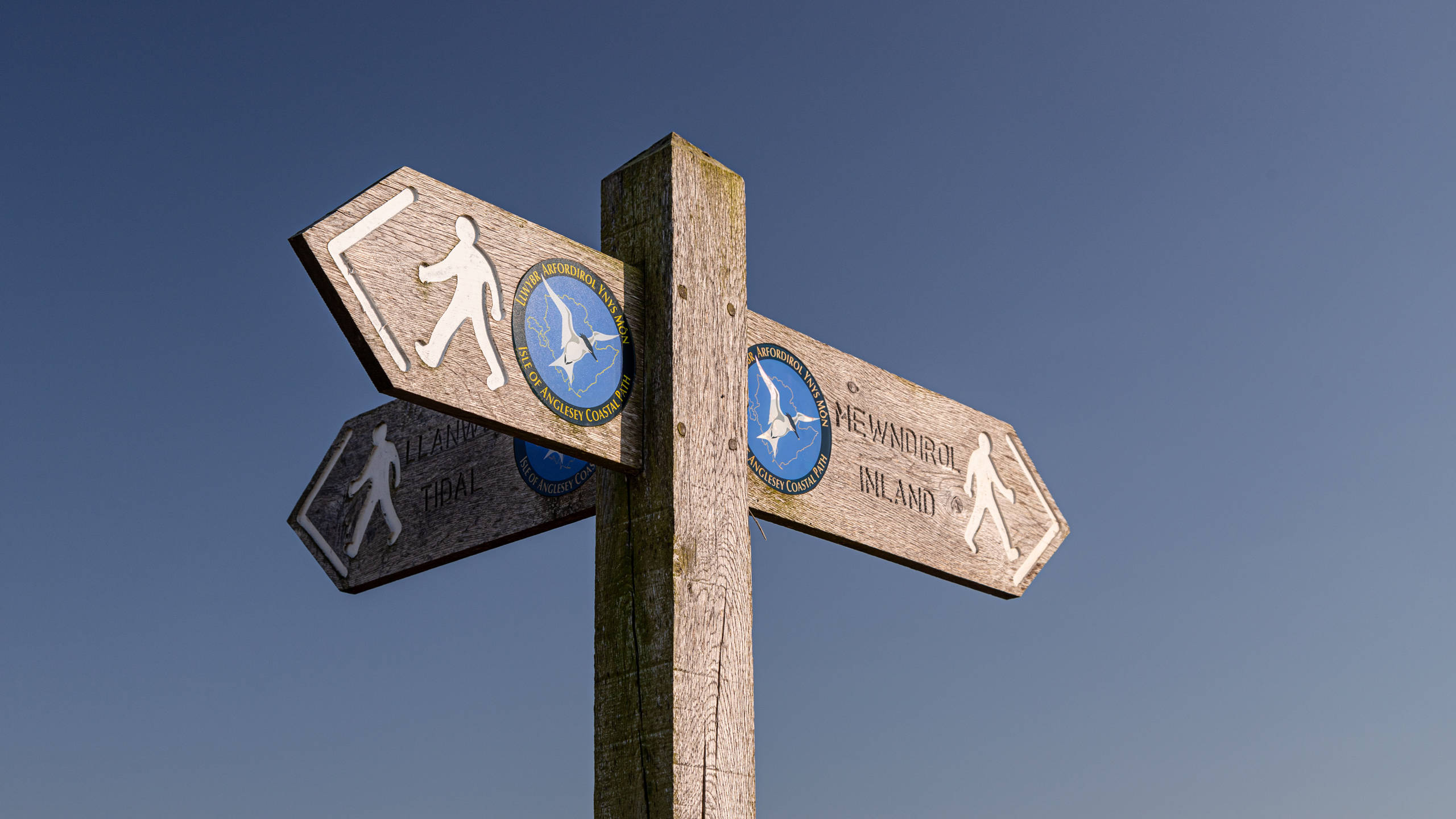 A wooden fingerpost sign with the Isle of Anglesey Coastal Path logo against a clear sky