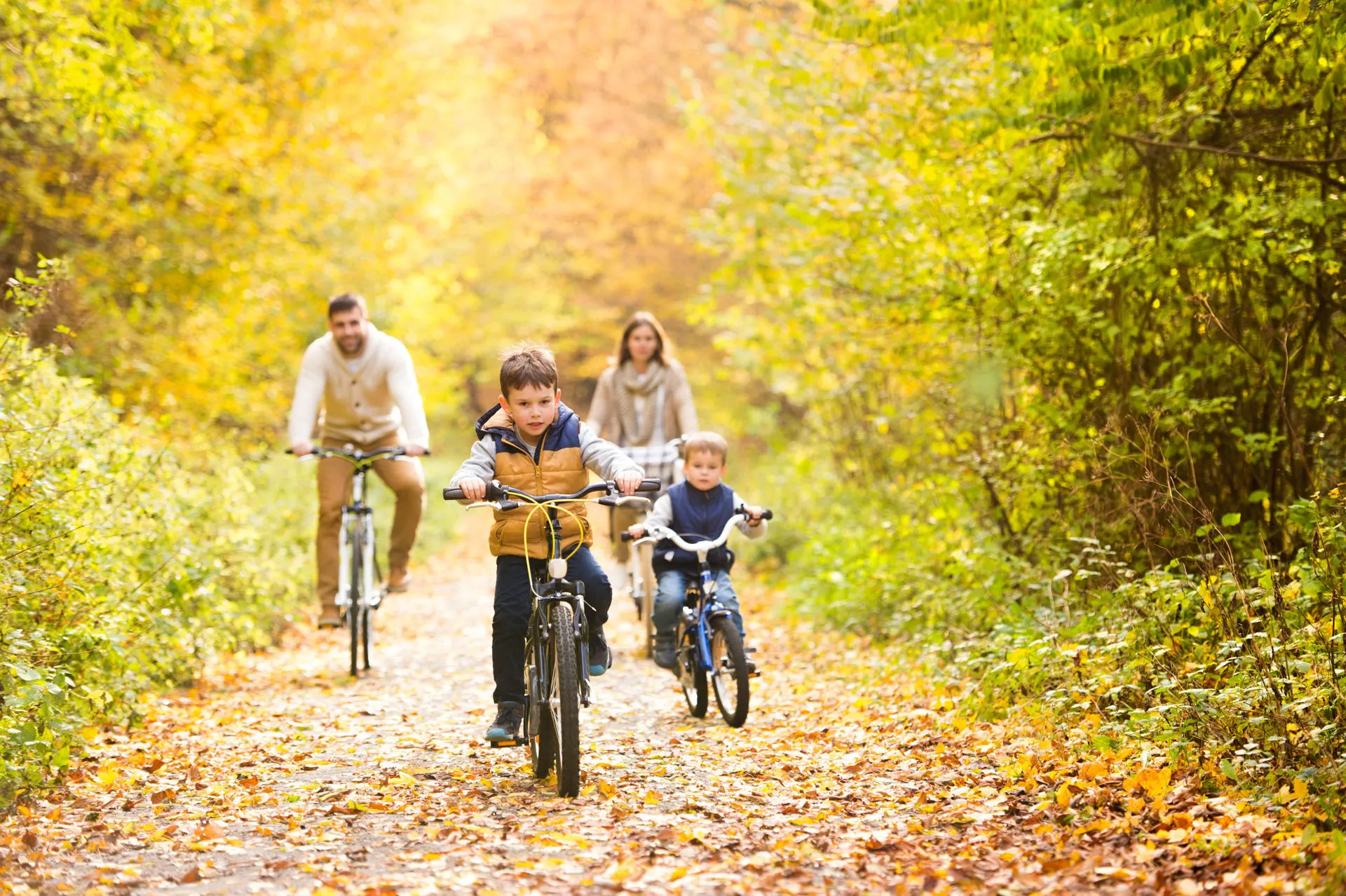 Family cycling in the woods