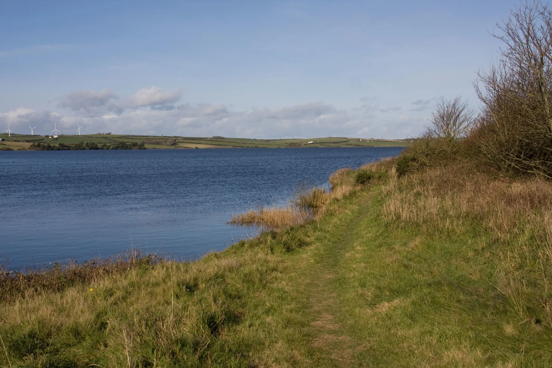 Looking across Llyn-alaw reservoir from the footpath 