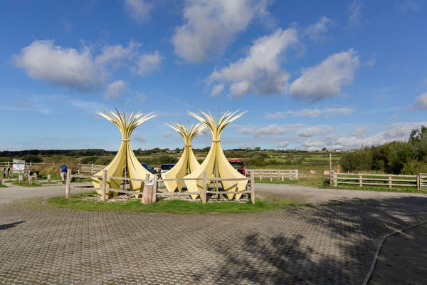 Marram grass sculptures at Llyn-rhos-ddu-car-park