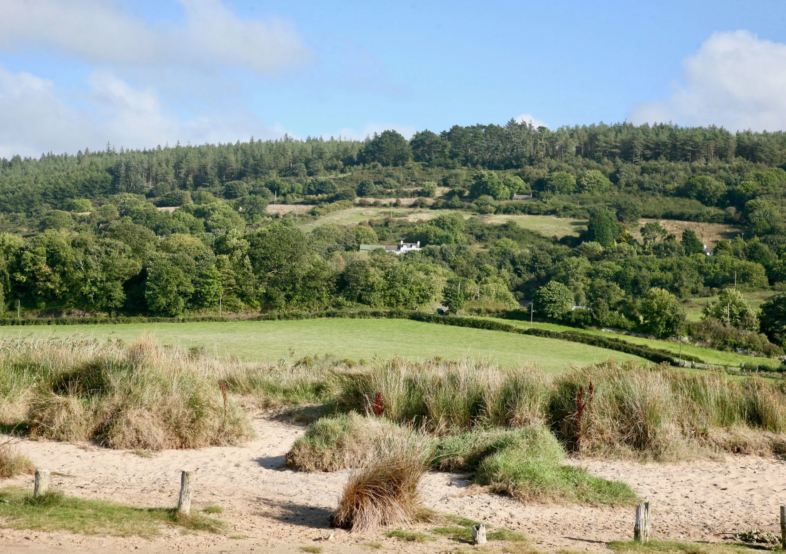 Golygfa o Goedwig Pentraeth ar ddiwrnod heulog