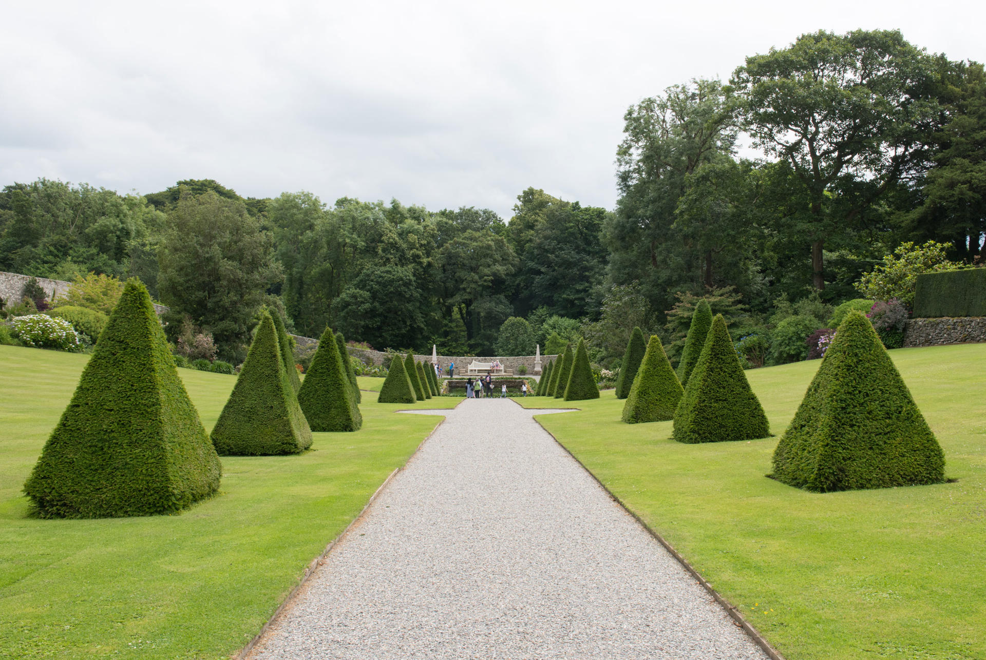 Pyramid trees at Plas Cadnant